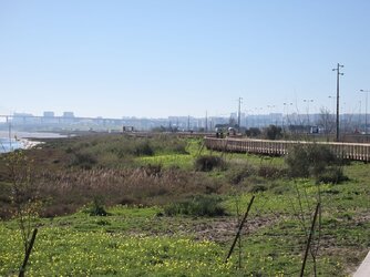 Boardwalks in Lisbon.jpg