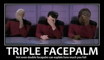 triple-facepalm--geek-squad-funny-things.jpg