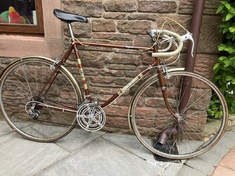Raleigh magnum road bike on sale