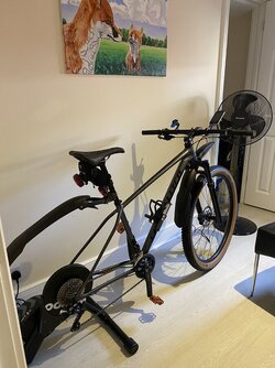 IMG_0157.jpeg