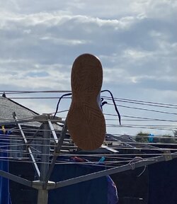 IMG_4880.jpeg
