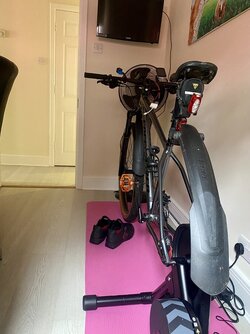 IMG_0163.jpeg
