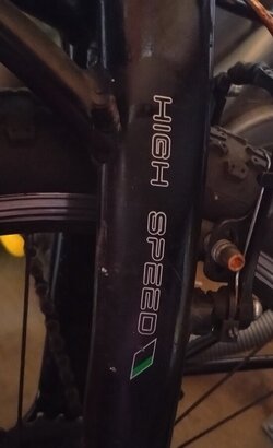 Ecosmos High Spped Folding Bike.JPG