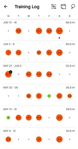 Screenshot_20240615_135918_Strava.jpg