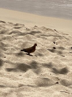 IMG_1034.jpeg