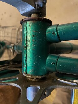 IMG_4183.jpeg