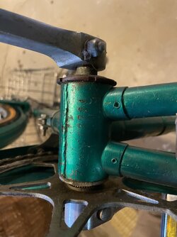 IMG_4184.jpeg