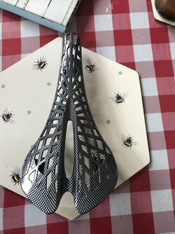 IMG_0801.jpeg