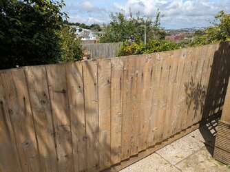 fence.jpg