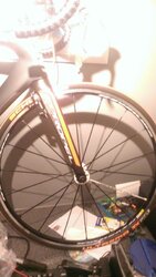 WP_20141211_004.jpg