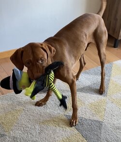 IMG_5458.jpeg