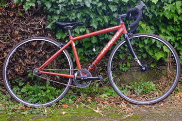 DSCF0654.JPG DSCF0654.JPG