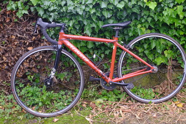 DSCF0659.JPG DSCF0659.JPG