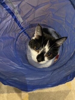 IMG_5702.jpeg