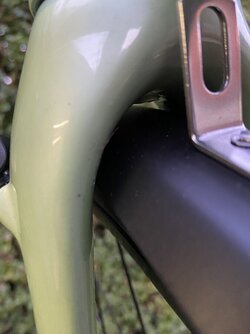 IMG_1812.jpeg