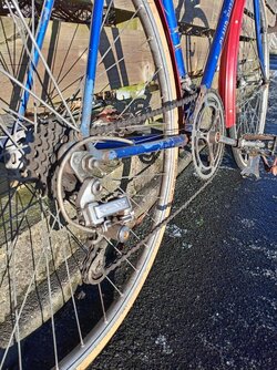 IMG_20250109_134119.jpg