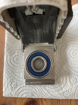 IMG_9352.jpeg