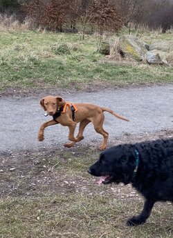 IMG_5837.jpeg
