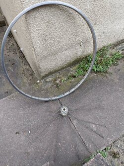 IMG20250306142520.jpg
