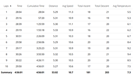 10 Laps Stats.png