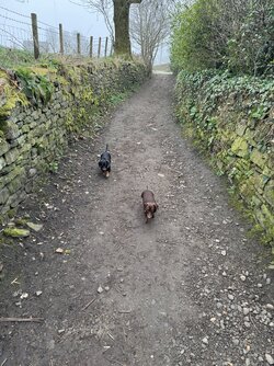 IMG_0940.jpeg