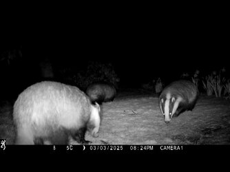 VideoCapture_20250327-183108.jpg