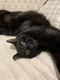 IMG_5804.jpeg