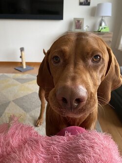 IMG_5886.jpeg