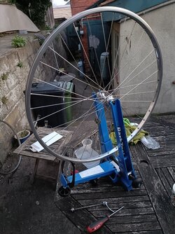 IMG20250331195451.jpg