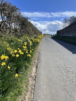 IMG_4342.jpeg