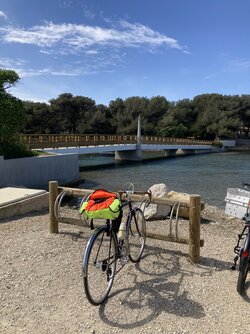 IMG_1453.jpeg