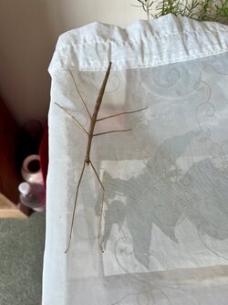 IMG_7627.jpeg
