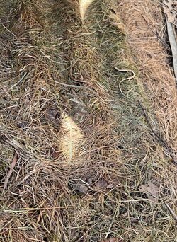 IMG_7626.jpeg