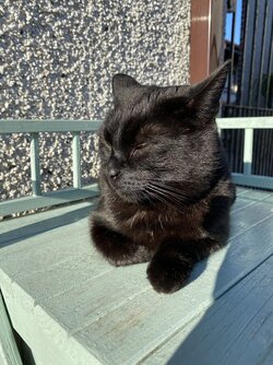 IMG_5892.jpeg