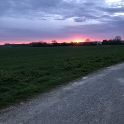 IMG_1469.jpeg