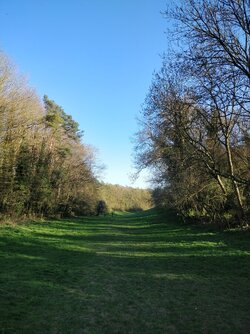 IMG_20250401_175237.jpg