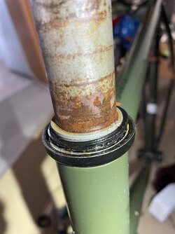 IMG_9561.JPEG