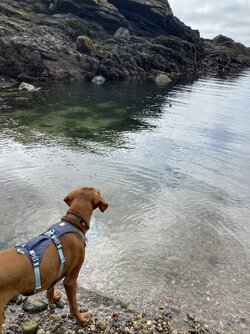 IMG_5932.jpeg