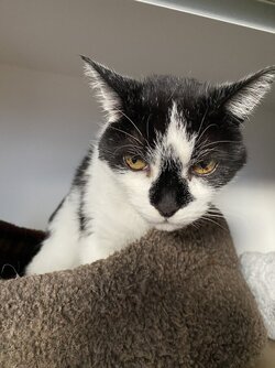 IMG_5950.jpeg