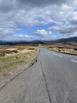IMG_4530.jpeg