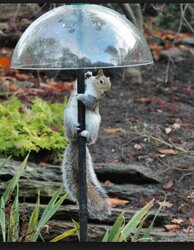 rspb bird feeder pole squirrel proof - Google Search - Google Chrome_2015-01-19_15-15-41.jpg