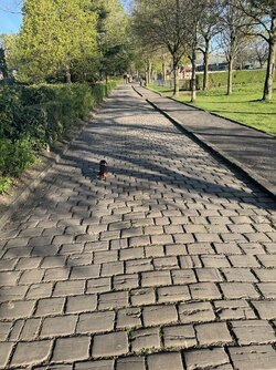 IMG_1033.jpeg