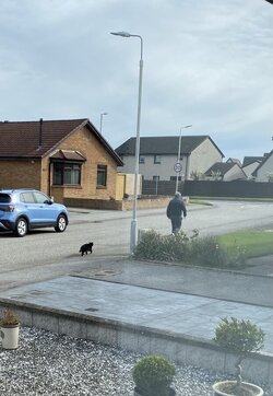 IMG_5960.jpeg