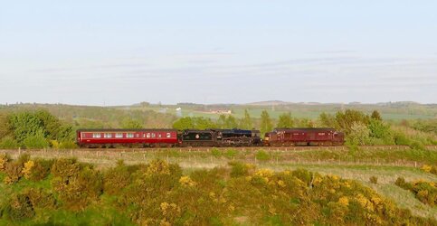 IMG_0138.jpeg