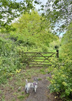 IMG_9558.jpeg