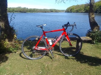 colnago.jpeg