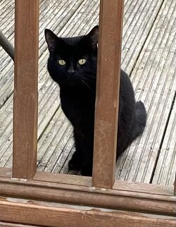 IMG_4781.jpeg