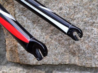 Specialized_S-Works_Tarmac_SL2_fork_dropouts.jpg