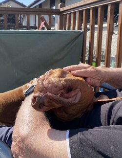 IMG_5981.jpeg