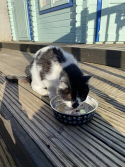 IMG_6018.jpeg